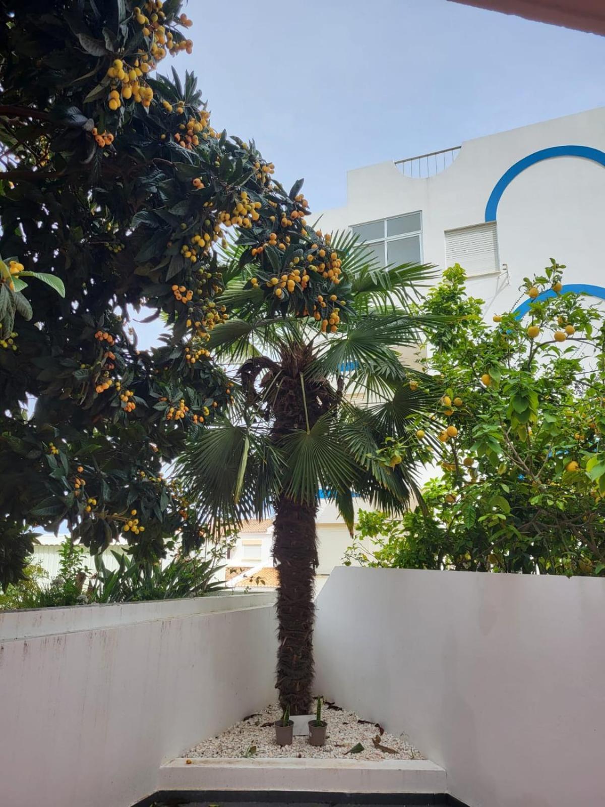 HostelccPortimão Exterior foto